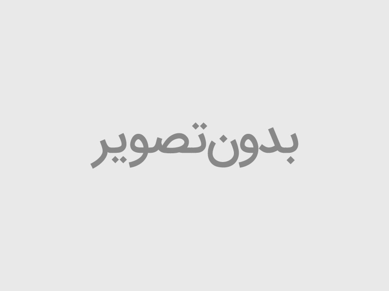 رولت گوشت و سبزیجات 250 گرم